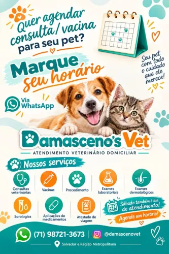 Atendimento Veterinário em Domicílio - DAMASCENO'S VET