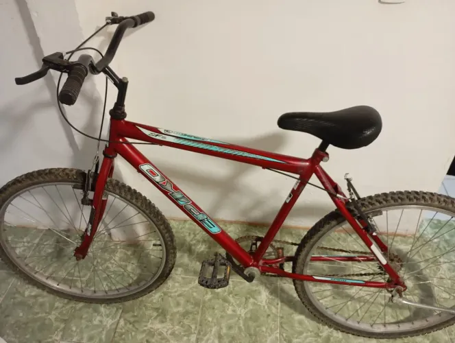 Bicicleta sem marcha
