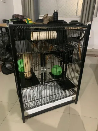 Gaiola Gaiopar 295 + Suporte e acessórios