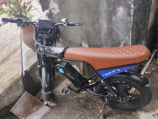 Bicicleta motorizada