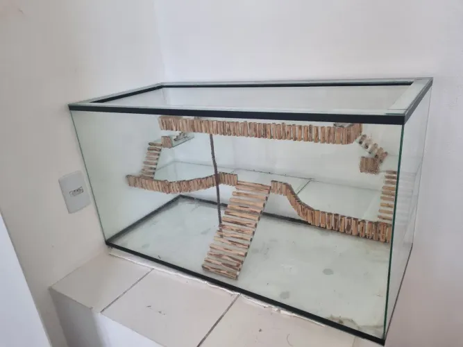 Terrário para hamster/gerbil