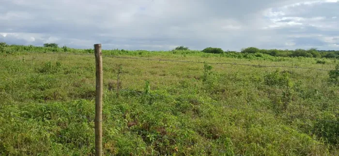 Terreno 100x100