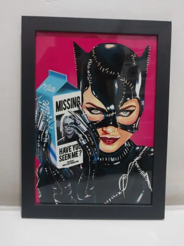 Quadro decorativo - Mulher Gato