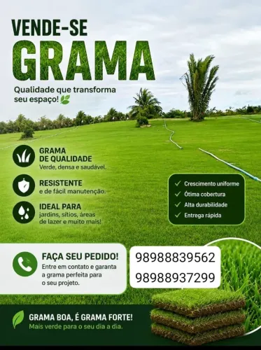 Grama esmeralda 