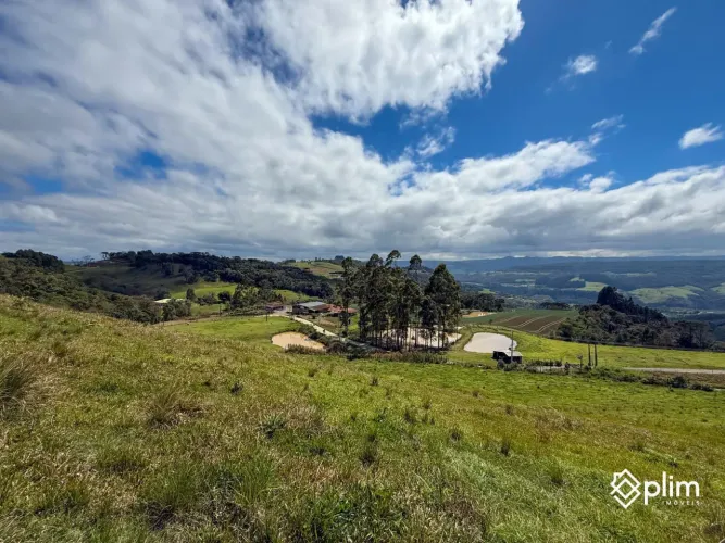 Terreno de 26.000m2 na Santa Bárbara em Alfredo Wagner - SC