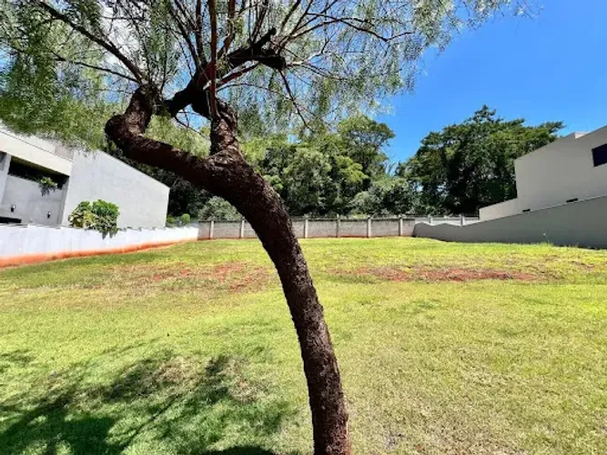 Terreno alto padrão,505 m² à venda no Condomínio Alphaville 1,em Ribeirão Preto/SP I Imobi