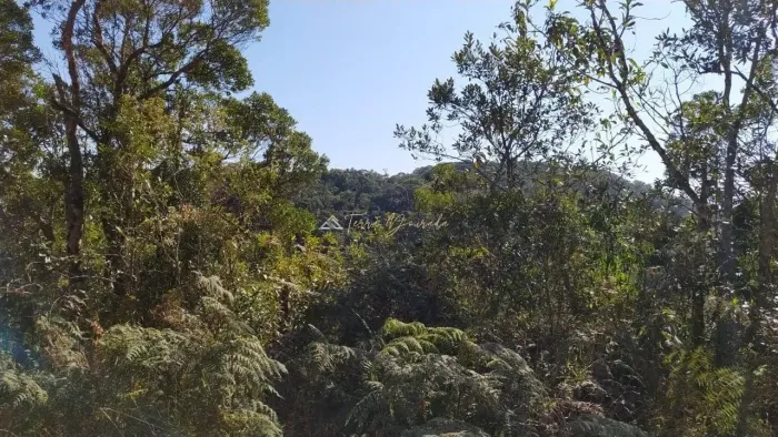 Lote à Venda - Bairro São Gotardo, Monteiro Lobato/SP