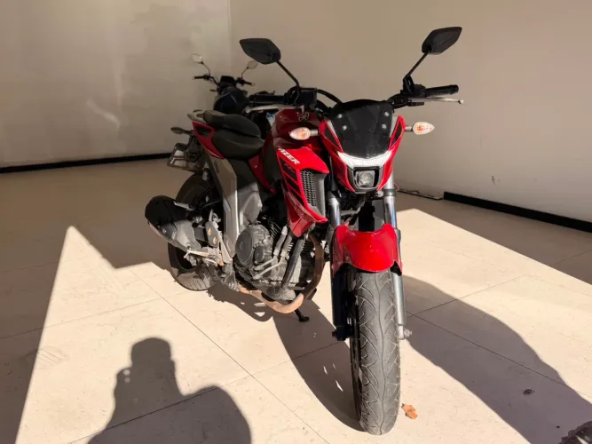 Vendo fazer em perfeito estado