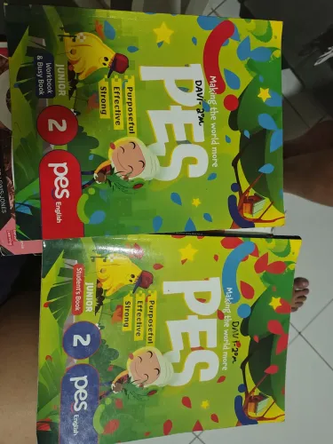 Livro pes english 2 ano