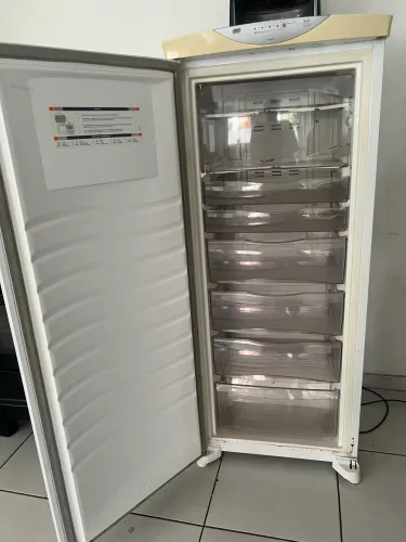 Freezer vertical