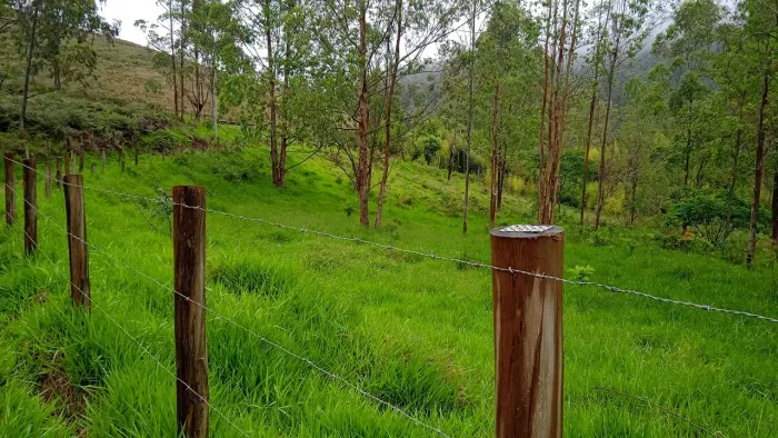 Fazenda/Sítio/Chácara para venda possui 240000 metros quadrados em Pouso Frio - Taubaté - 
