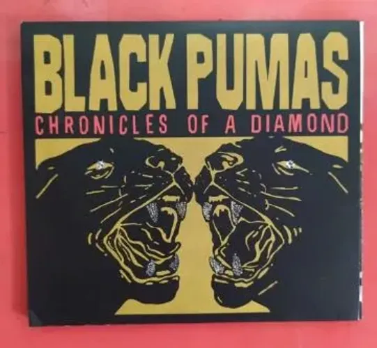 Lp Disco Vinil BLACK PUMAS 