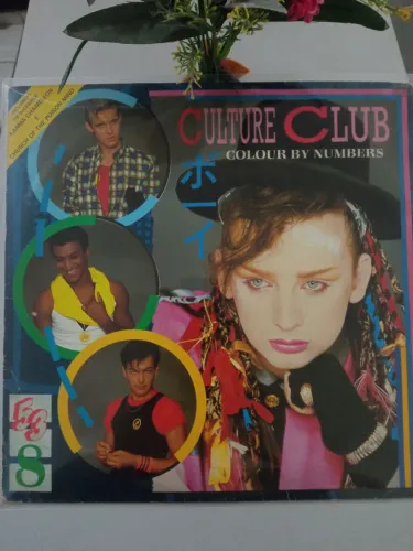 Vendo LP Culture club, " Colour By Number" em ótimo estado de conservação.