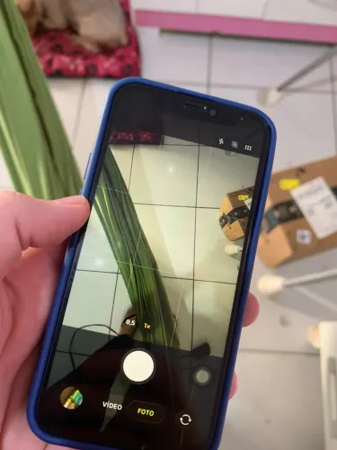 iPhone 12 Mini
