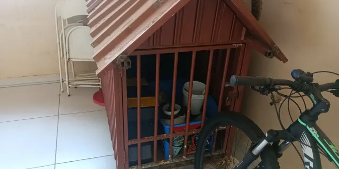 Casa para cachorro grande 