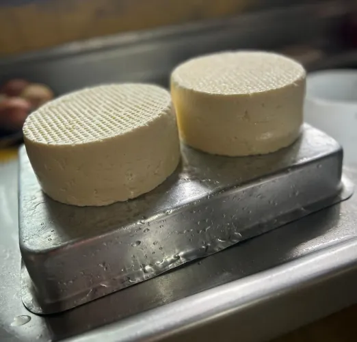 Frango, Leite e Queijo Caipira