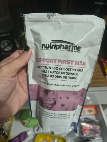 Leite substituto para gatos