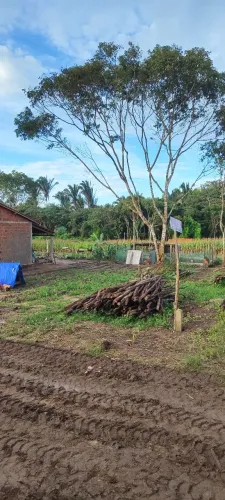 Vende-se lote! Em Ubajara-ce 