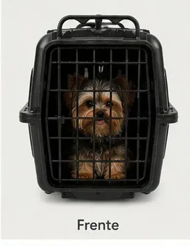Promoção transporte para pet