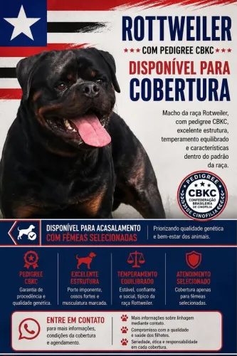 Rottweiler para cobertura 