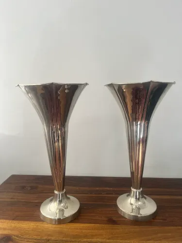 Par Vaso Tulipa Prata