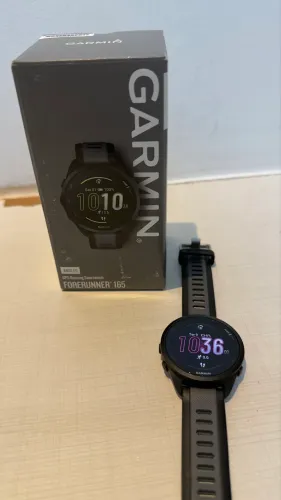 Garmin 165