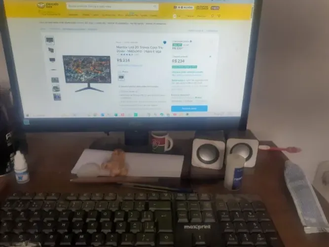 monitor 17