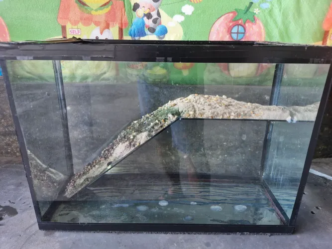 Aquário viveiro 40 litros