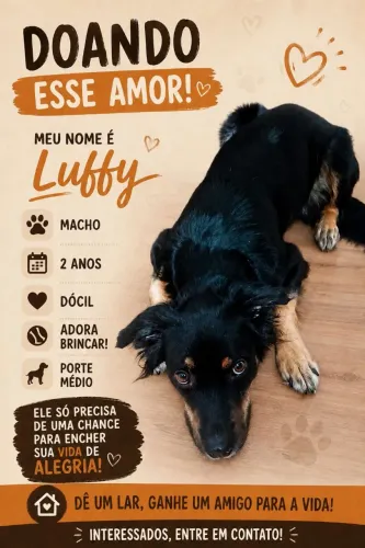 Doa-se cachorro 