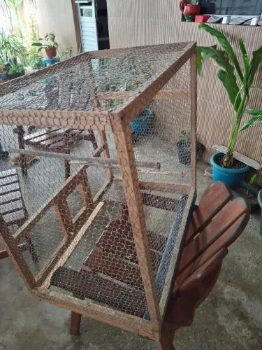 Disponível viveiro de madeira de tela galvanizada