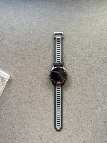 Garmin 165
