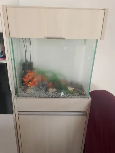 Vendo aquário completo 