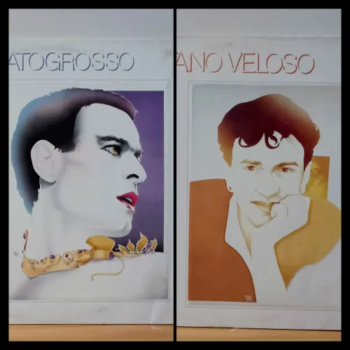 COMBO 2 Disco de Vinils. Ney Matogrosso e Caetano Veloso. Imperdível!! 
