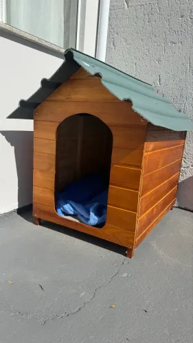 Casa de cachorro 