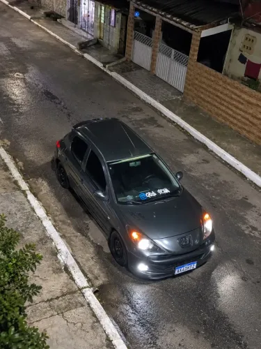 Peugeot 207 XR 1.4 Flex 8V 3P 2009