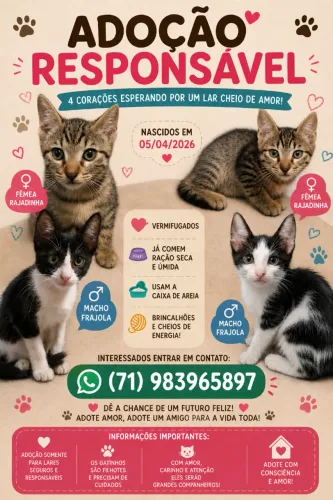 4 GATINHOS FILHOTES DE DOIS MESES PARA ADOÇÃO RESPONSÁVEL