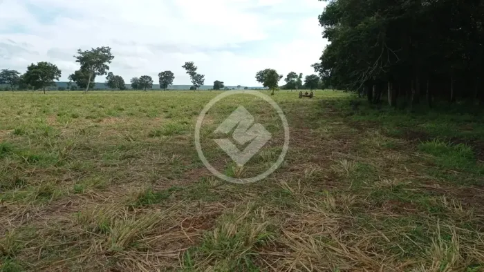 CHACARA 25 HECTARES codigo: 148841