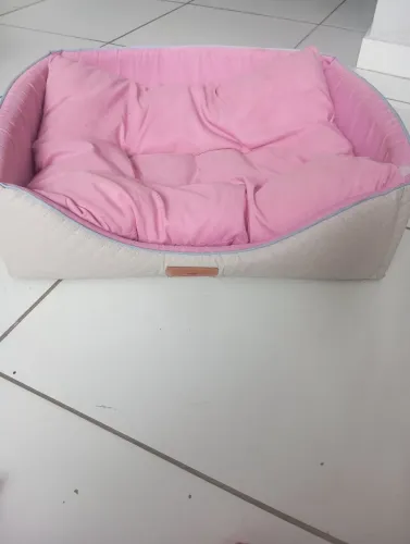 Caminhão de cachorro 