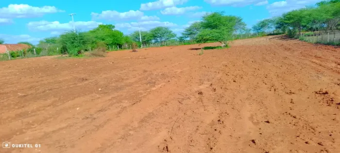 Uma tarefa em Irecê Bahia 