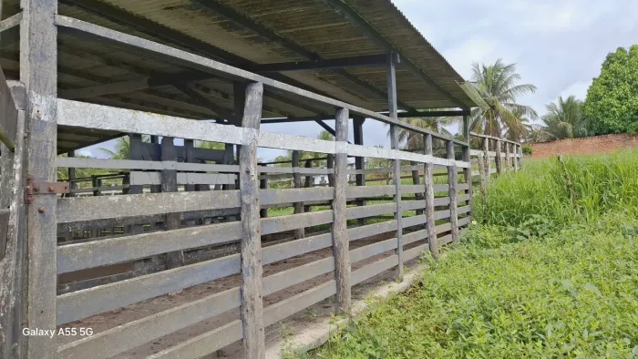 Oportunidade! Fazenda de 75t com 3 casas no município de Amélia Rodrigues, Frente Br 324 S