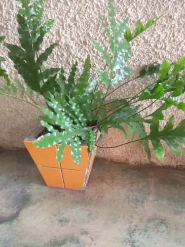 Desapego 4 vasos iguais de cerâmica com plantas pôr 60,00
