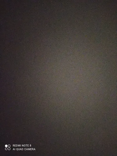 Pintor de parede profissional