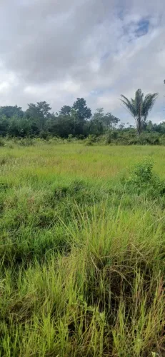 Terreno agrícola na Vila do Cristal, 2 lotes