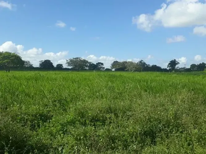 Fazenda com 90.5 hectares na região vera cruz