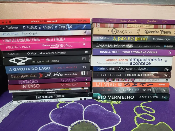 Livros por 10 reais cada