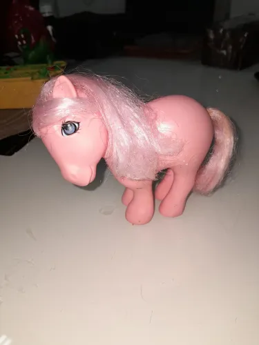 Meu querido ponei
