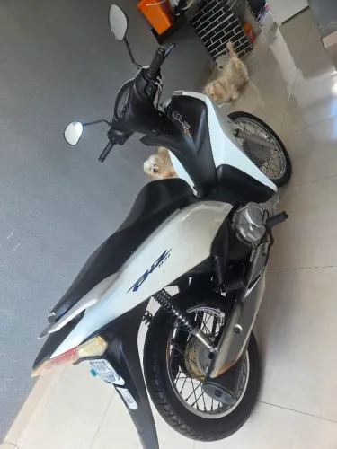 Vende-se biz 110 2019.