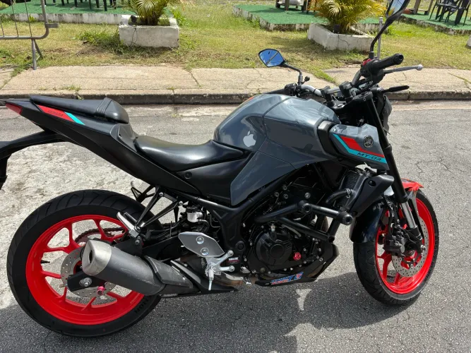 Mt03