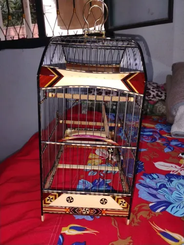 Vendo gaiola de luxo muito top zero