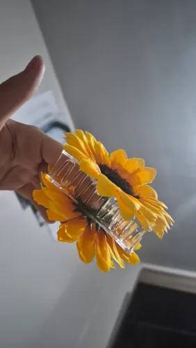 Prendedor de cabelo